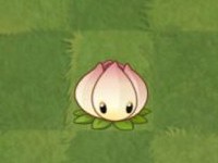 植物大战僵尸2免谷歌版无限钻石4